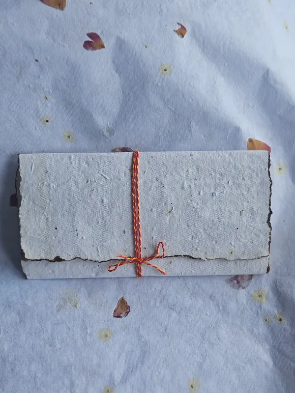 Seed_Paper_Envelope_Pack_Of_5