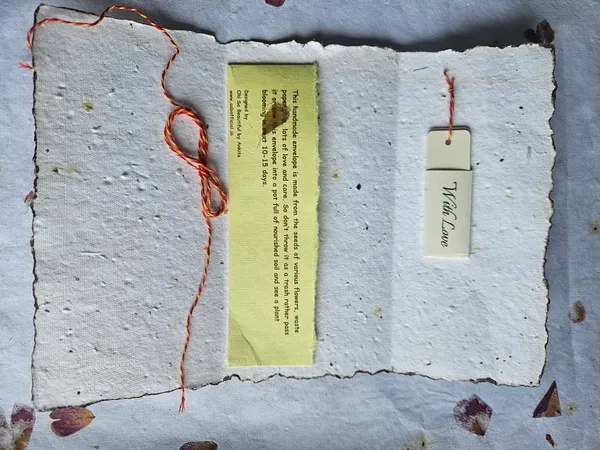 Seed_Paper_Envelope_Pack_Of_5