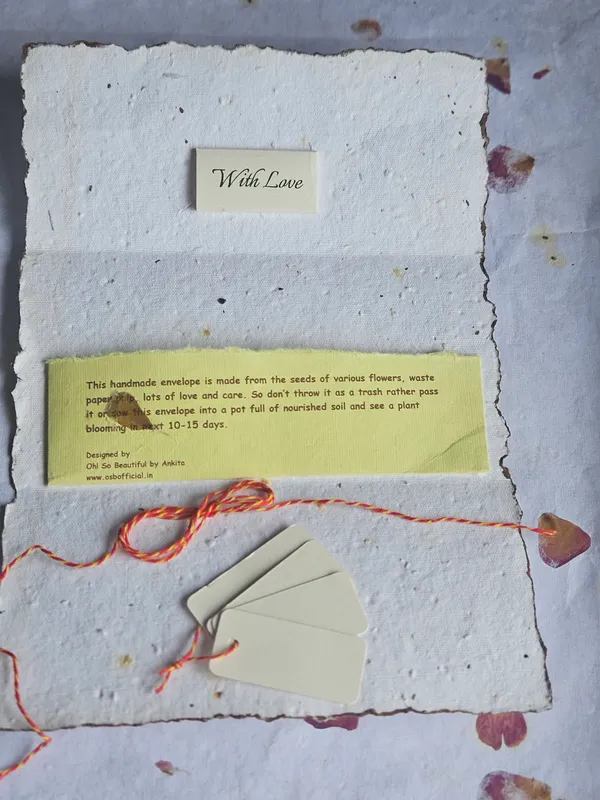 Seed_Paper_Envelope_Pack_Of_5