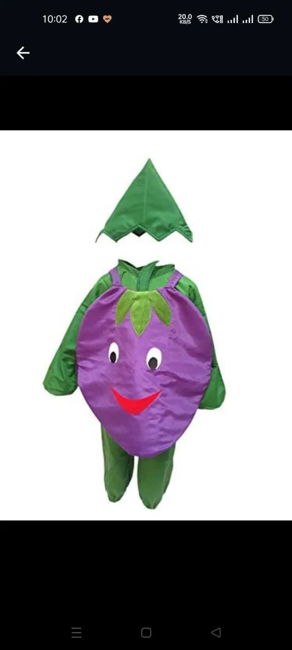 Purple_Green_Polyester_Character_Fancy_Dress_Costume_For_Kids