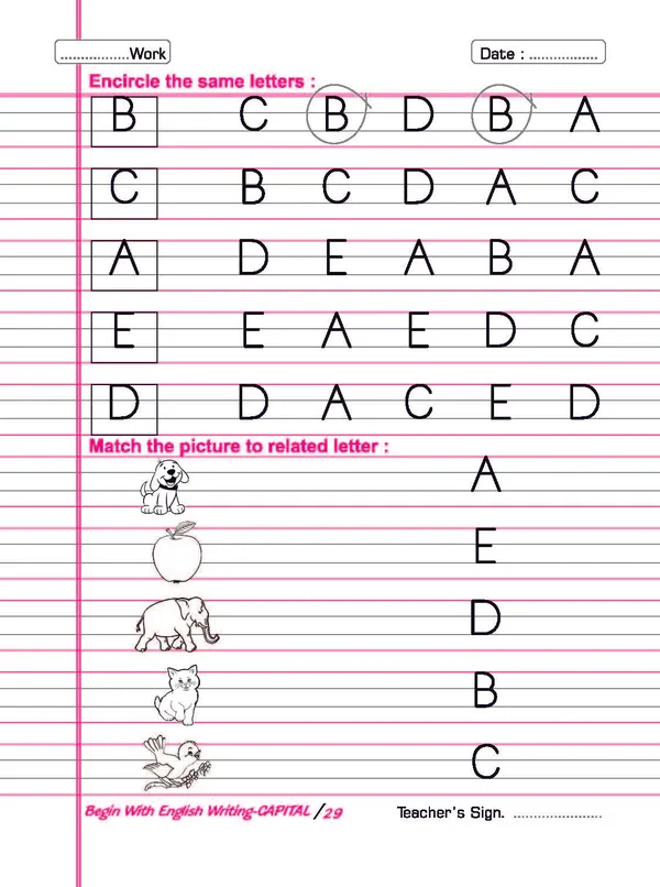 Multicolor_Paper_English_Writing_Book_For_Kids