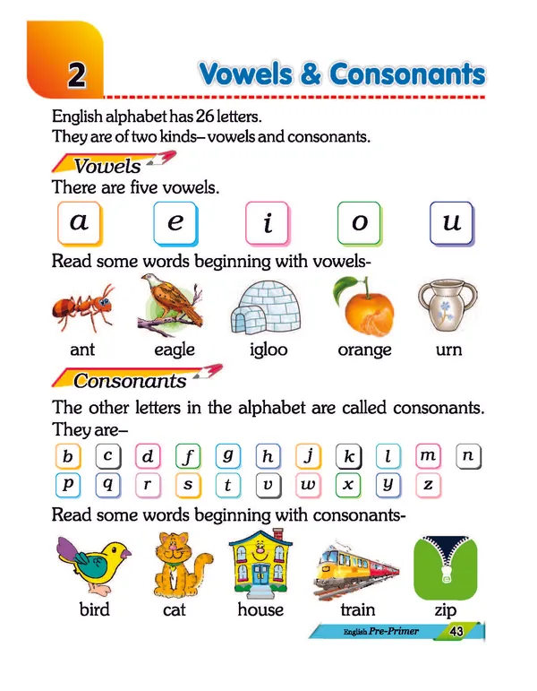 Multicolor_Paper_English_Reading_Book_For_Kids