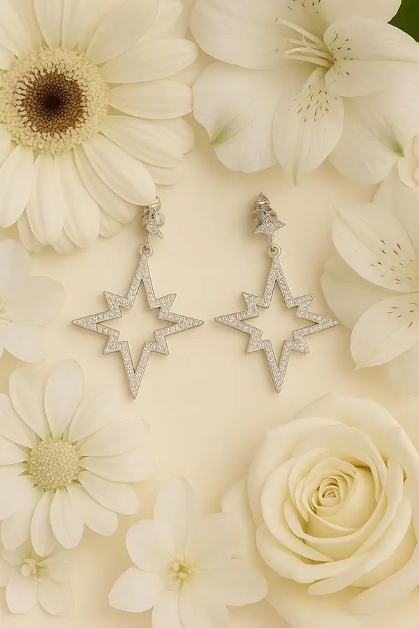 Silver_Star_Stud_Earrings_For_Women