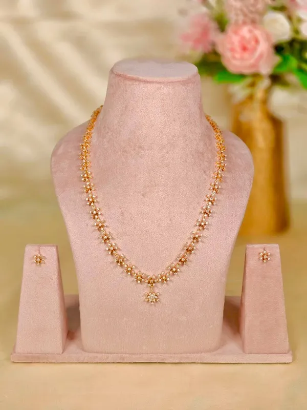 Rudrani_Long_Haram_Set
