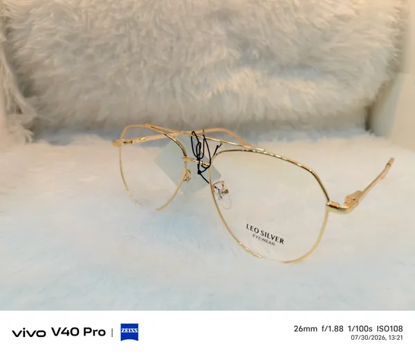 Leo_Silver_Gold_Metal_Eyeglasses