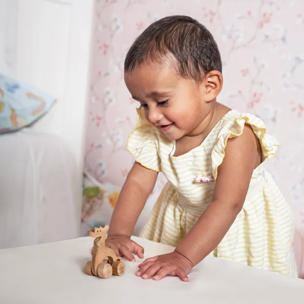 ParaPal™_Premium_Neem_Wood_Parapal_Dino_Teether_Toy_For_Babies