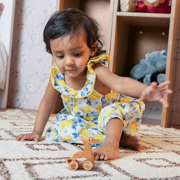 ParaPal™_Premium_Neem_Wood_Parapal_Dino_Teether_Toy_For_Babies