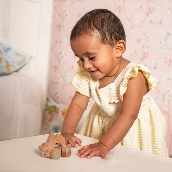 SteggiePop™_Premium_Neem_Wood_Steggiepop_Dino_Teether_Toy_For_Babies