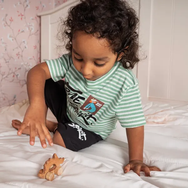 SteggiePop™_Premium_Neem_Wood_Steggiepop_Dino_Teether_Toy_For_Babies