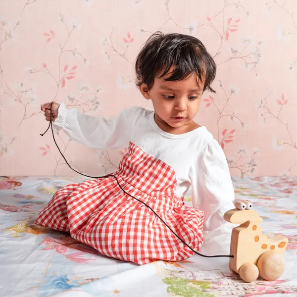 DoodleDino™_Oak_Wood_Pull_Along_Dino_Toy_For_Babies