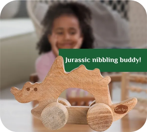 SteggiePop™_Premium_Neem_Wood_Steggiepop_Dino_Teether_Toy_For_Babies