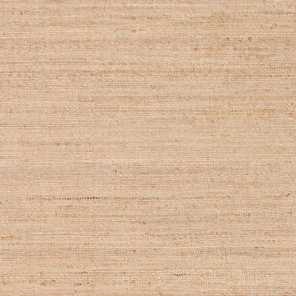Cream_Textured_Plain_Rectangular_Area_Rug