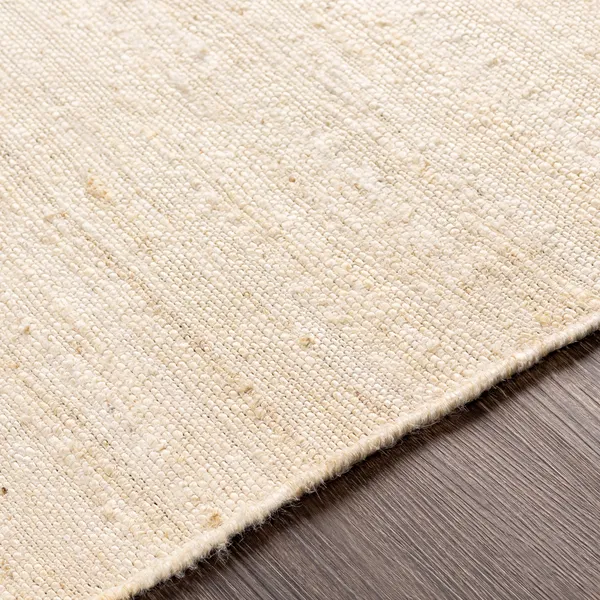 Woven_Neutral_Textured_Area_Rug
