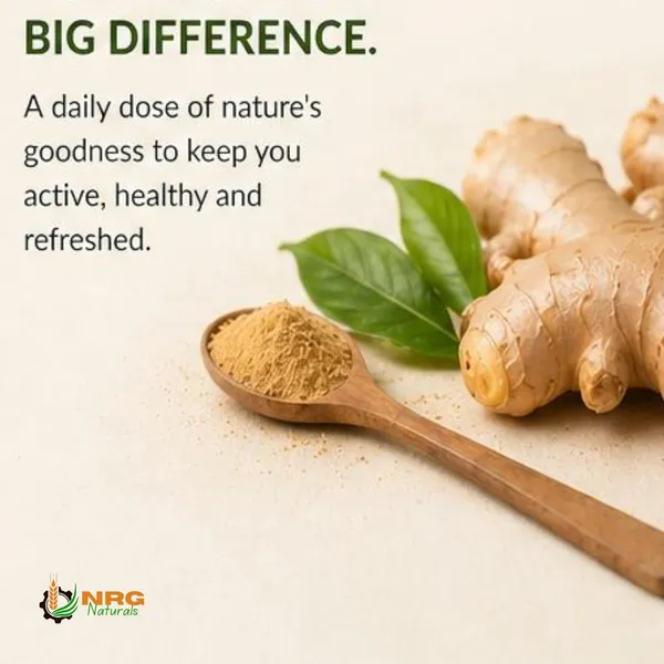 Nrg_Naturals_Dehydrated_Dry_Ginger_Powder_Preservative_Free_-_Pack_of_2