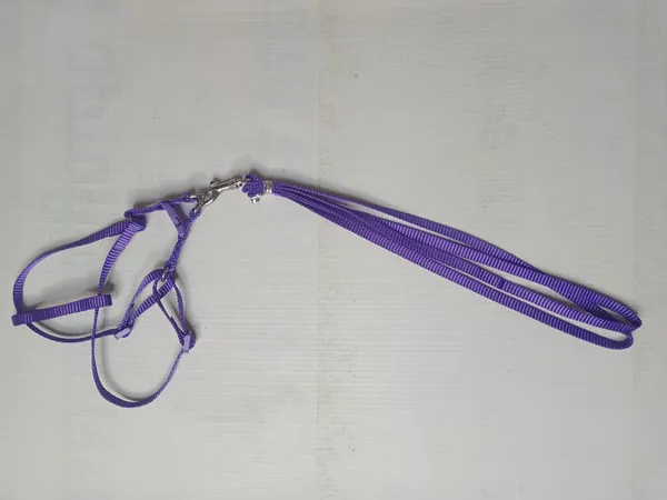 single-collar-set-2-s2
