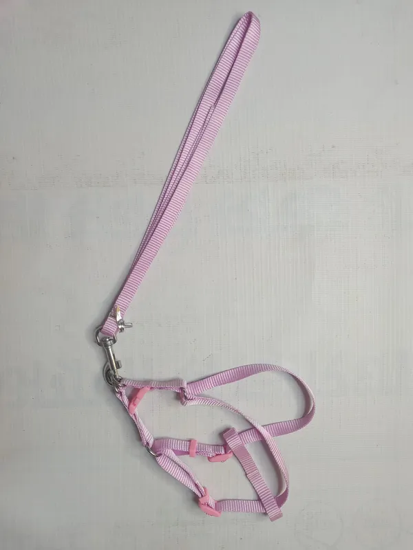 single-collar-set-3-a16