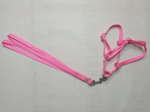 single-collar-set-3-a3