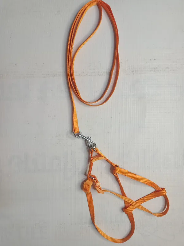single-collar-set-3-a22