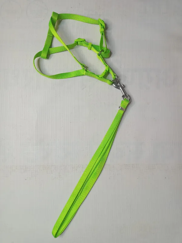 single-collar-set-3-a13