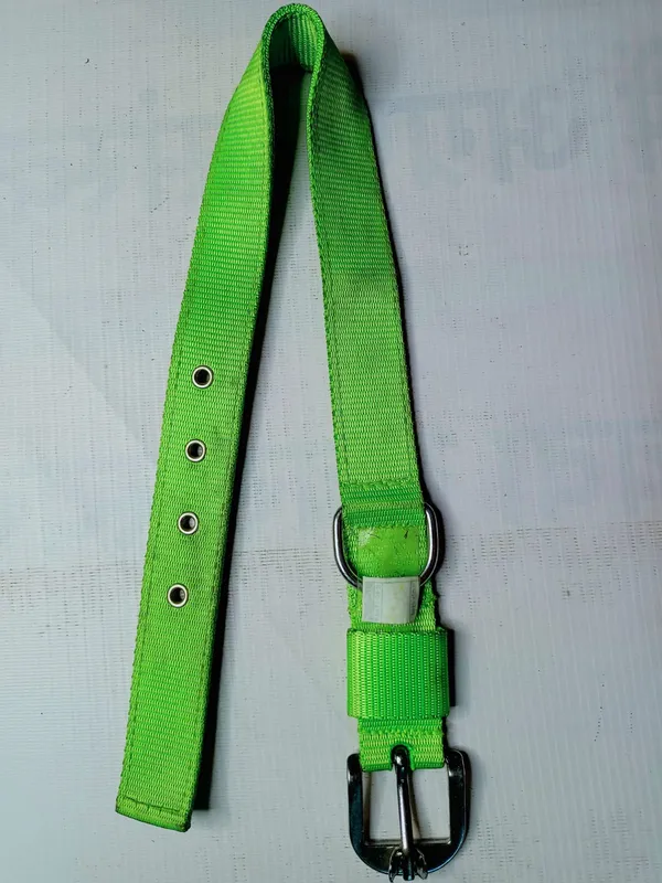 COLLAR_NYLON