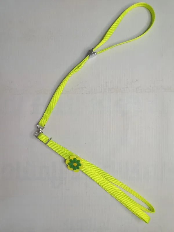 SUNFLOWER_COLLAR_SET
