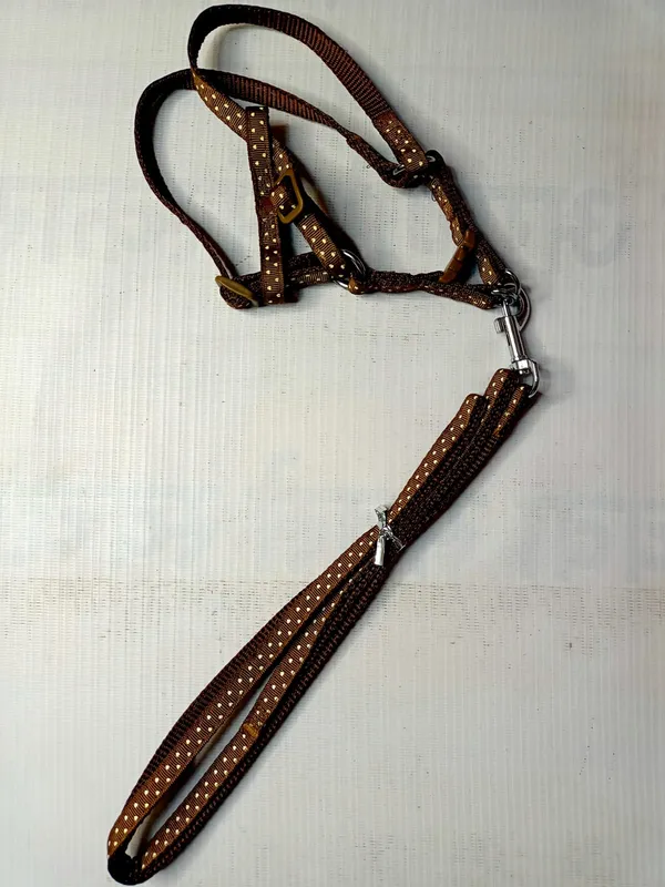 PRINTED_HARNESS