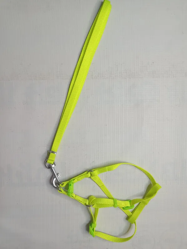single-collar-set-3-a10