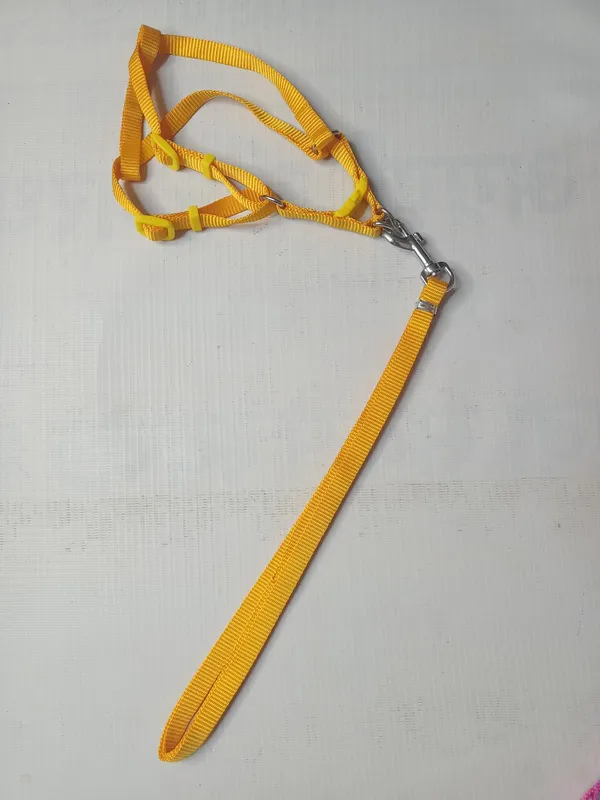 single-collar-set-3-a14