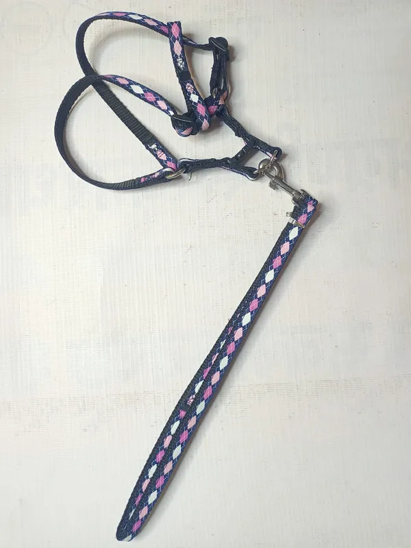PRINTED_HARNESS
