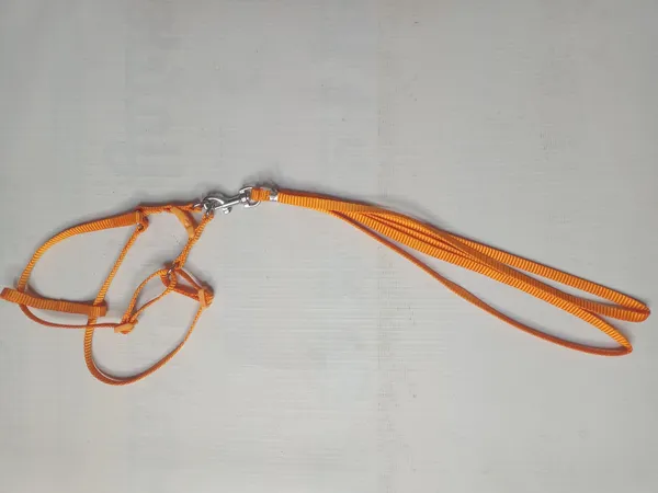 SINGLE_COLLAR_SET