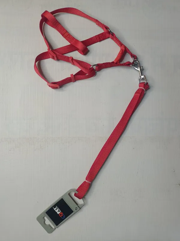 single-collar-set-s3
