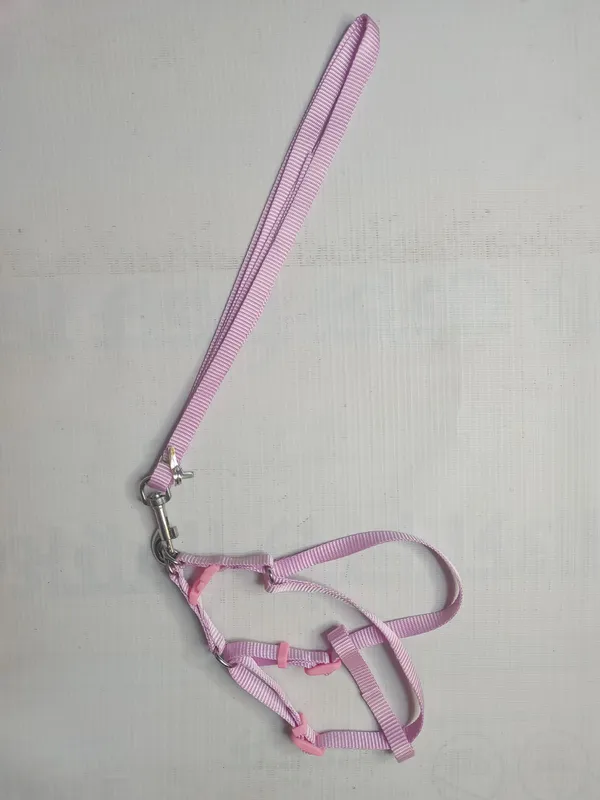 single-collar-set-3-a17