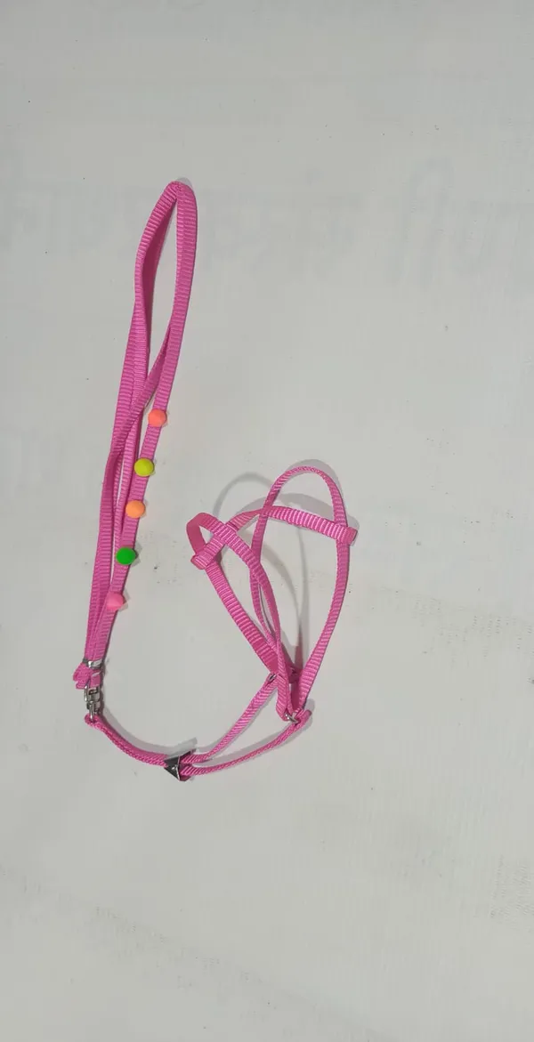 DOME_HARNESS_SET