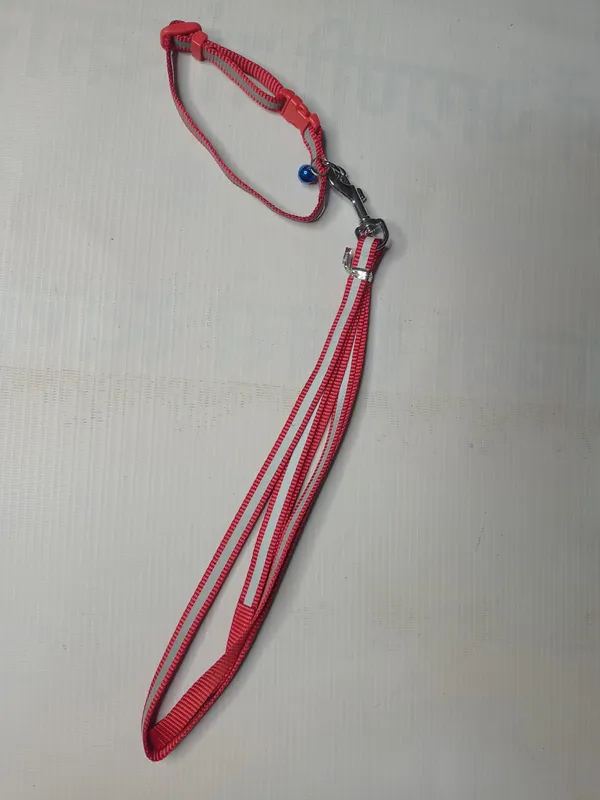 REFECTING_COLLAR