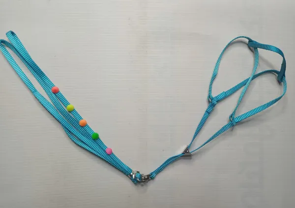DOME_HARNESS_SET