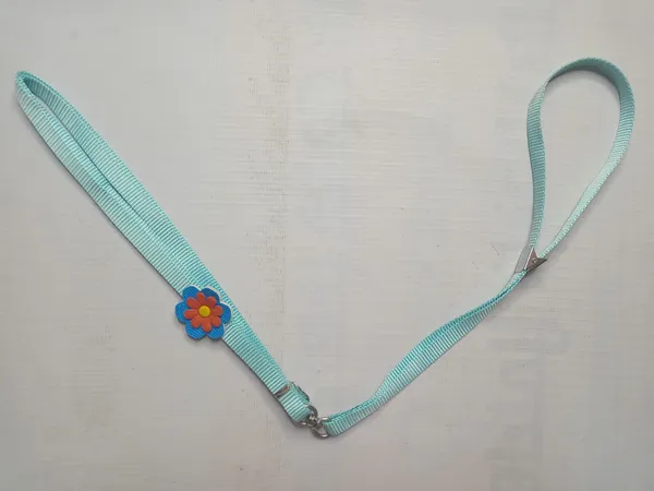 sonflower-col-set-2-set3