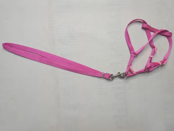 single-collar-set-3-a19