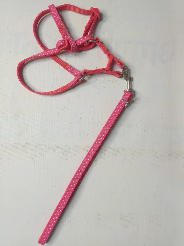 PRINTED_HARNESS