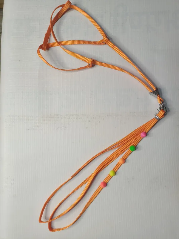 harness-set-fol5