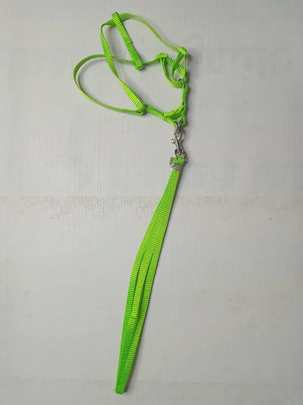 single-collar-set-2-s7