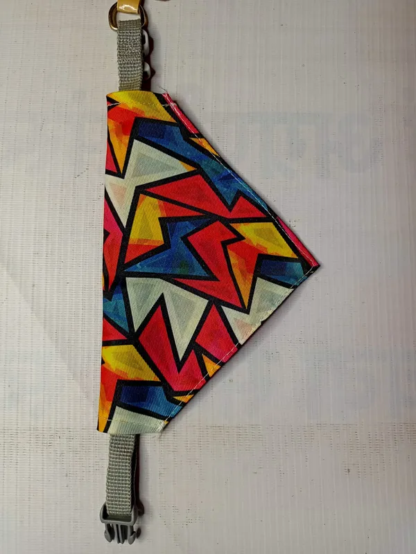 COLLAR_BANDANA