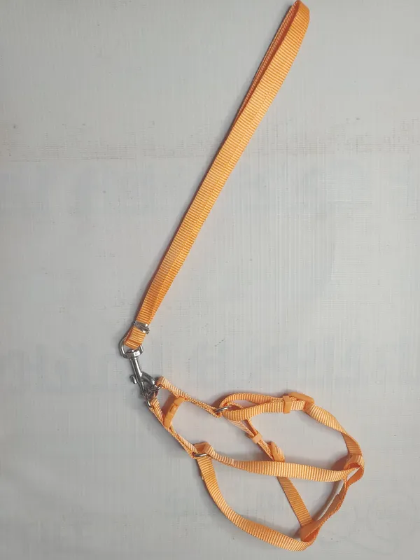 SINGLE_COLLAR_SET