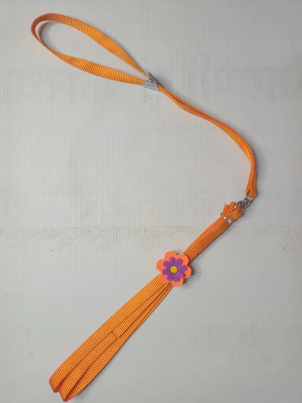 sonflower-col-set-f8