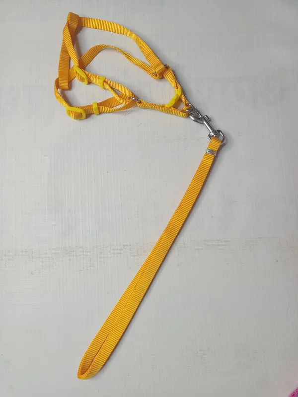 SINGLE_COLLAR_SET