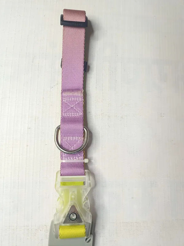 led-light-collar-2-l4