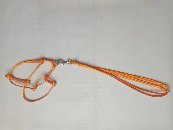 single-collar-set-2-s4