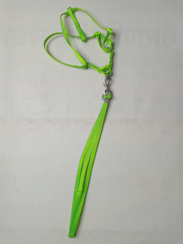 single-collar-set-2-s9