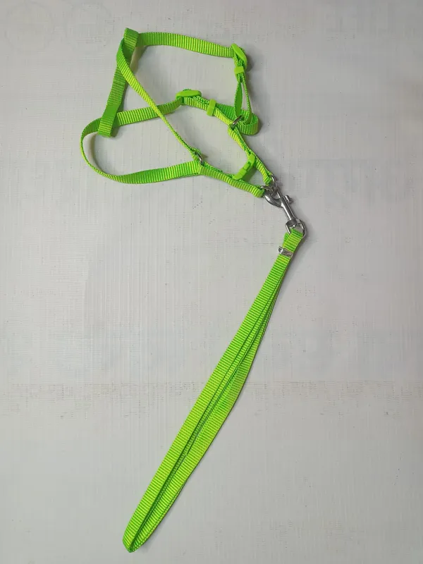 single-collar-set-3-a12