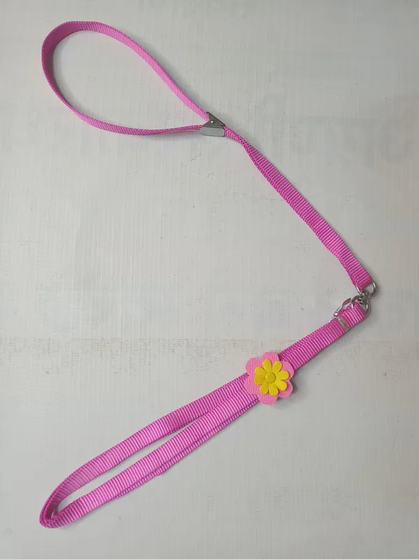 sonflower-col-set-f4