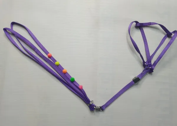 harness-set-fol6